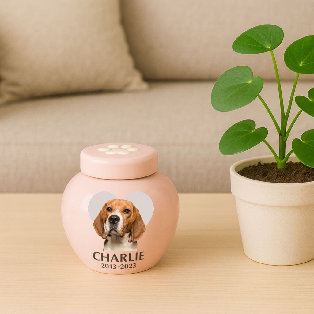 Personalised Ceramic Dog Urn with Photo – Pet Cremation Urn for Ashes with Name, Dates & Heart Tribute