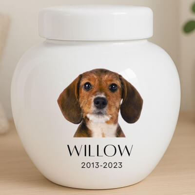 Personalised Ceramic Dog Urn with Photo –  Pet...