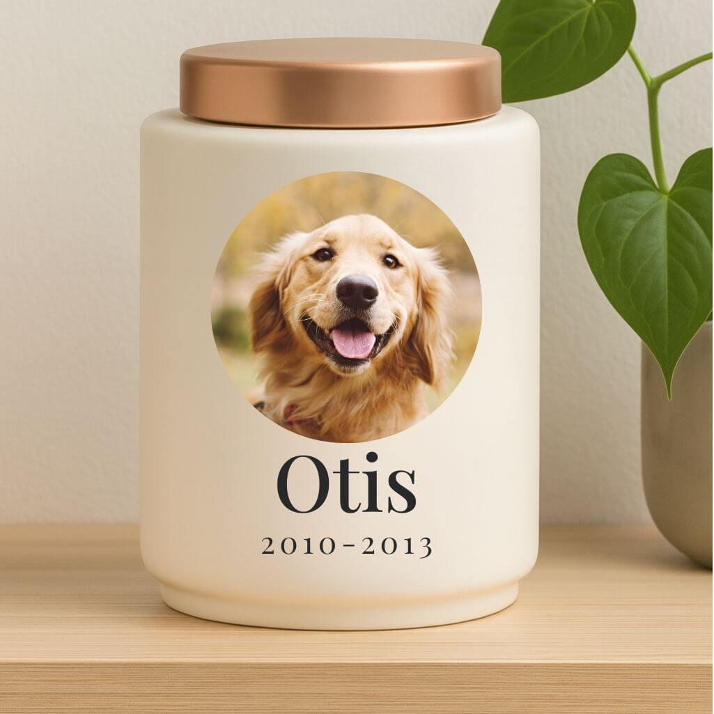 Personalised Ceramic Dog Urn with Photo in a Heartfelt Halo Frame –  Pet Cremation Urn for Ashes with Name, Dates & Stainless Steel Lid