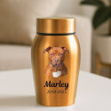 Personalised Dog Urn with Photo – Stainless Steel Memorial Urn with Name & Dates