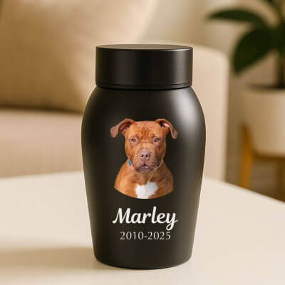 Personalised Dog Urn with Photo – Stainless...