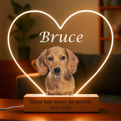 Personalised Dog Memorial Light with Photo –...