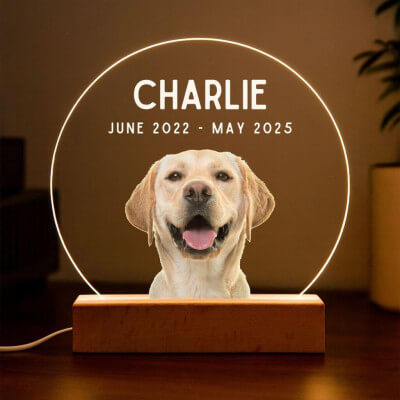 Personalised Dog Memorial Light with Photo –...