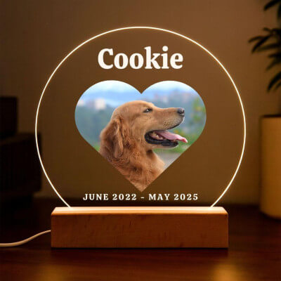 Personalised Dog Memorial Light with Heart...