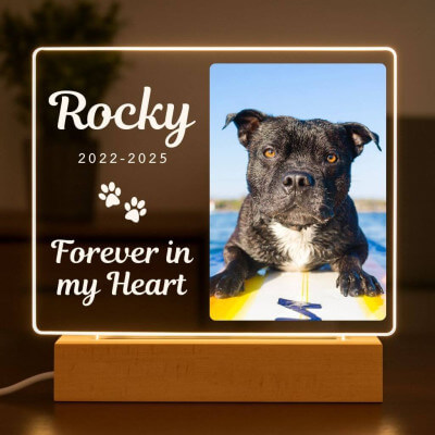 Personalised Dog Memorial Light with Photo –...