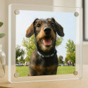 Acrylic Dog Memorial Frame – Square Custom Pet Photo Plaque