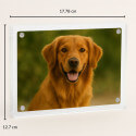 Personalised Acrylic Dog Memorial Frame – Custom Pet Photo Plaque with Name & Dates