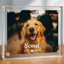 Personalised Acrylic Dog Memorial Frame – Custom Pet Photo Plaque with Name & Dates